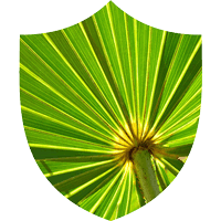 Prosta Defend Ingredients